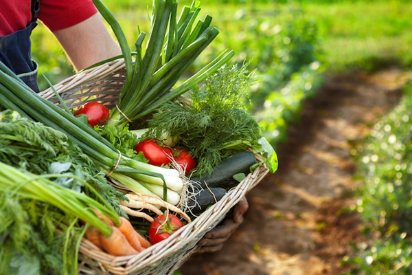 Il 20 maggio la "Bio-domenica di Primavera" sul Sentierone